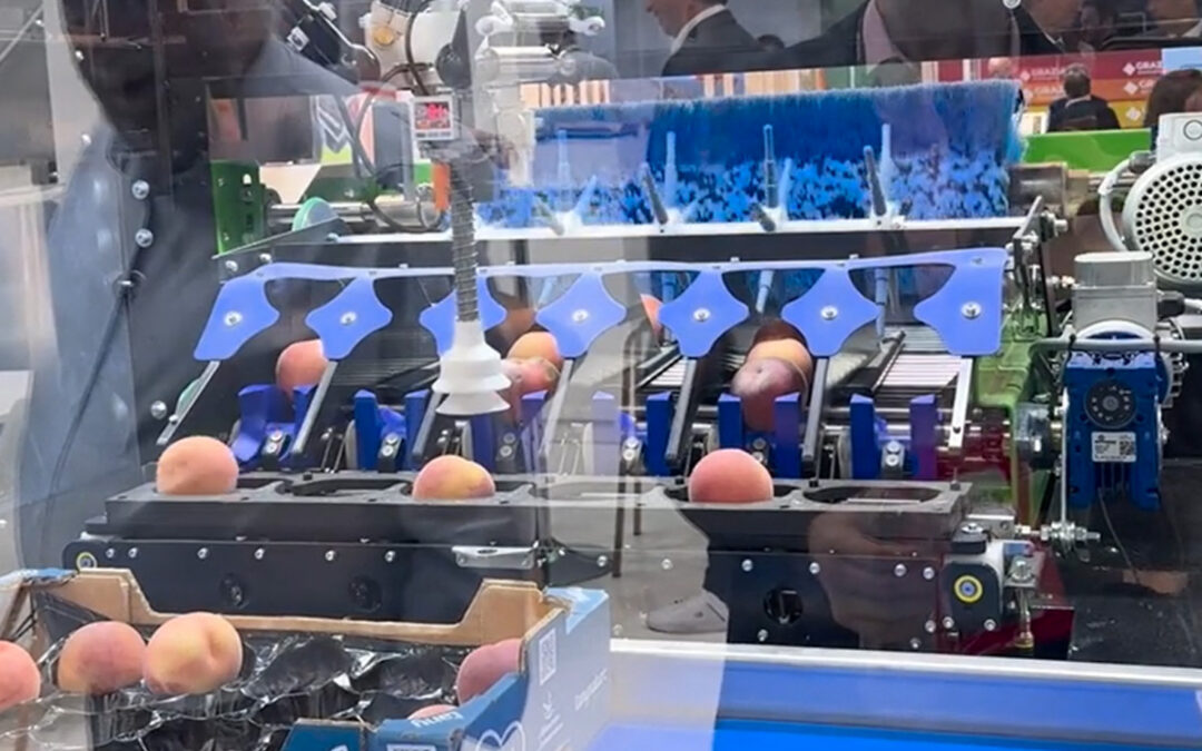 Sistemas de planificación y fresh produce