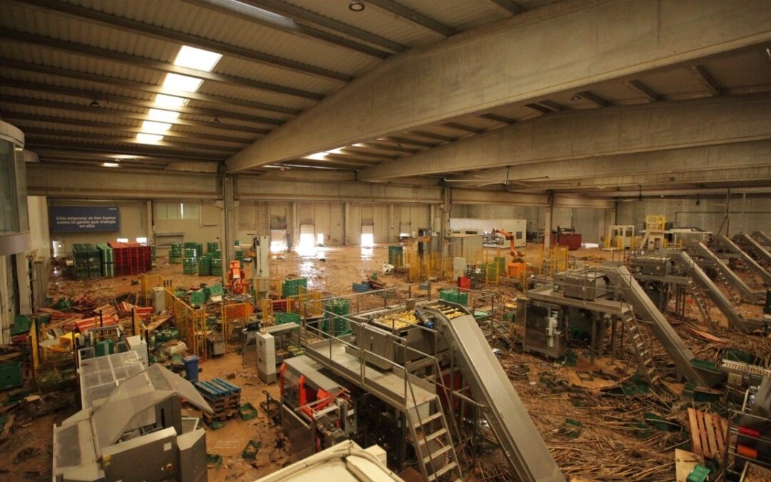 La empresa que se levantó en 59 días tras la DANA