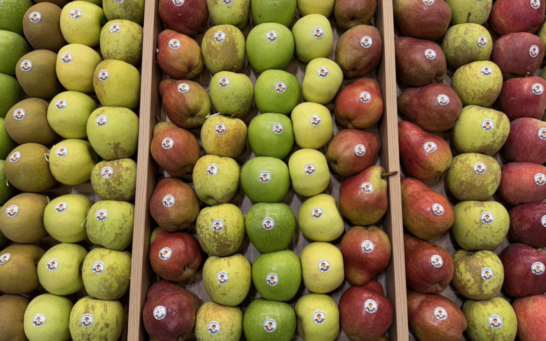 La innovación: Cuestión de supervivencia