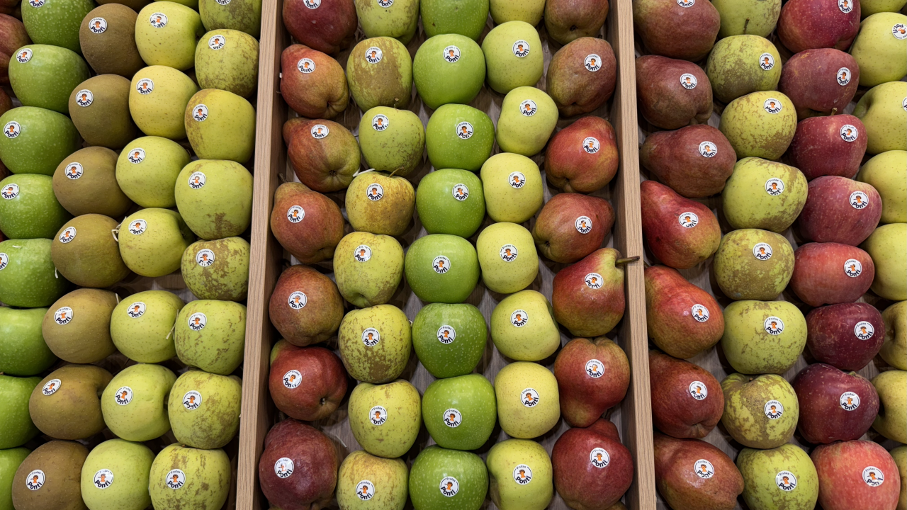 La innovación: Cuestión de supervivencia